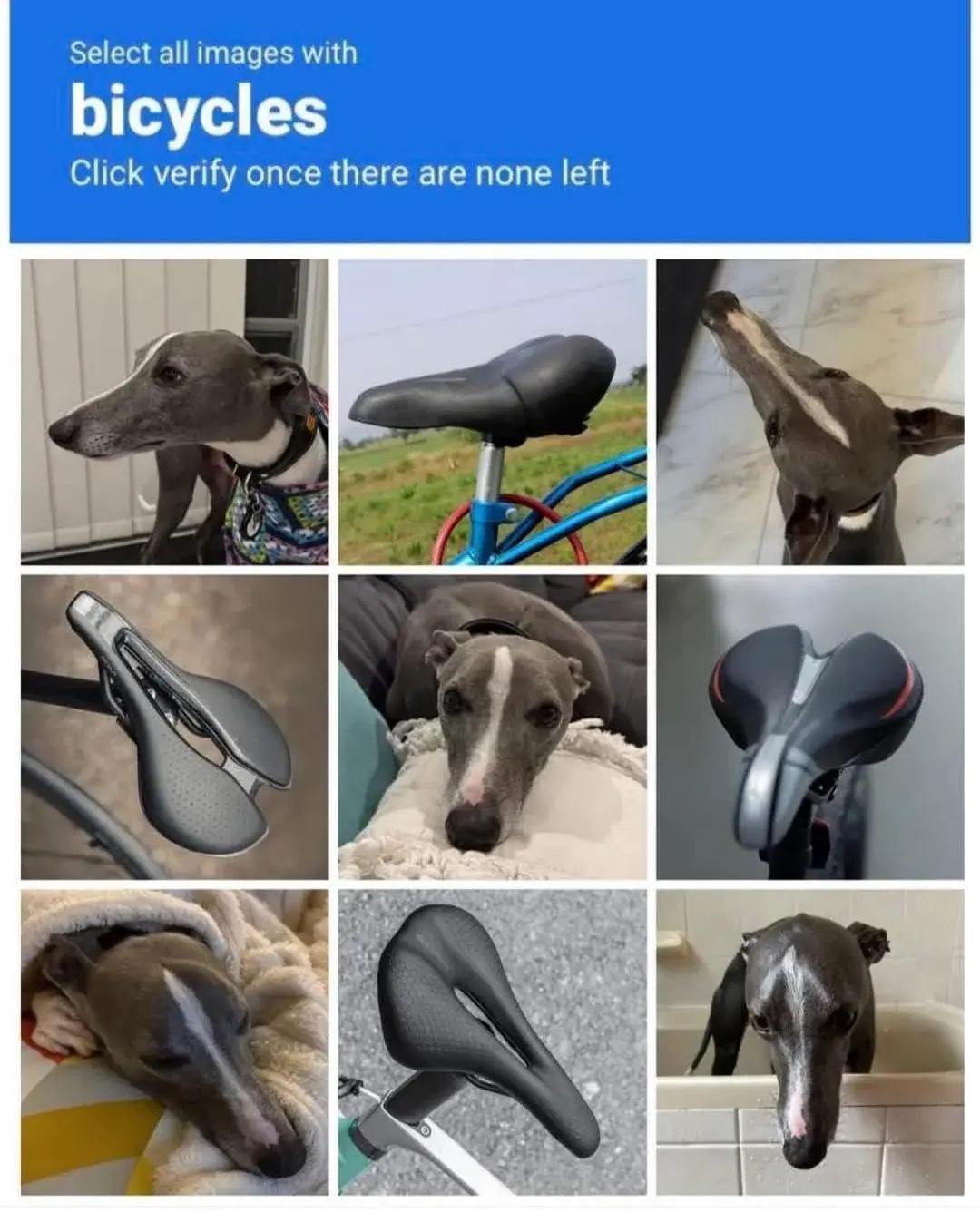 A visual captcha that requires you to select only the squares containing bicycle seats; however half of them feature a dog’s head that coincidentally looks exactly like a bicycle seat.