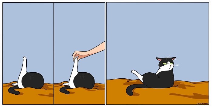 3 panel comic by lingvistov showing a cat grooming its stomach. First panel, the cat it just cleaning itself while it sticks its leg in the air. Second panel, a hand reaches out and touches those toe beans. Last panel is the cat giving a stink eye while looking back at the human perpetrator (who is out of frame and probably smiling).