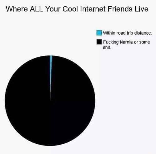Pie chart describing where all your cool internet friends live. Tiny blue sliver labeled 