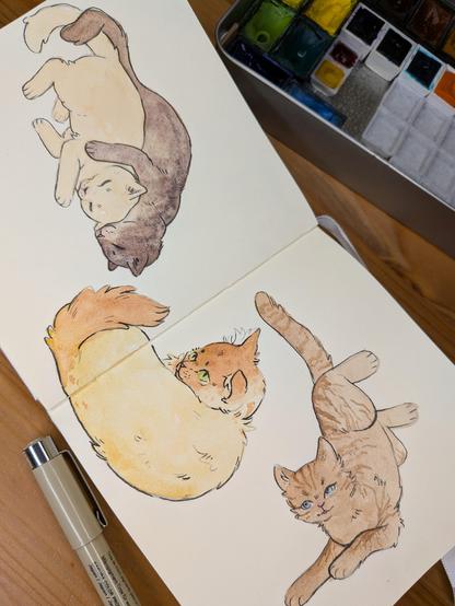 Sketchbook spread with cat sketches made with pencil, watercolour and black pen.
