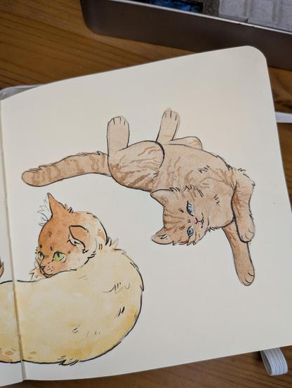 A tabby cat rolling with its stomach up.