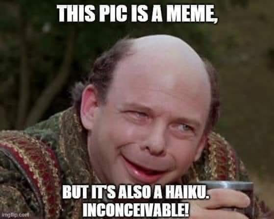 Vizzini from The Princess Bride is imparting his wisdom. 

THIS PIC IS A MEME 

BUT IT'S ALSO A HAIKU. 

INCONCEIVABLE!