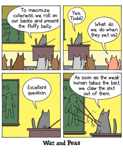 Cat School 4 panel comic: 1. A black cat (Lord Nibbles) stands in front of a cat class and says, 