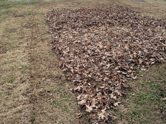 A yard, mid mow, with an area full of brown leaves