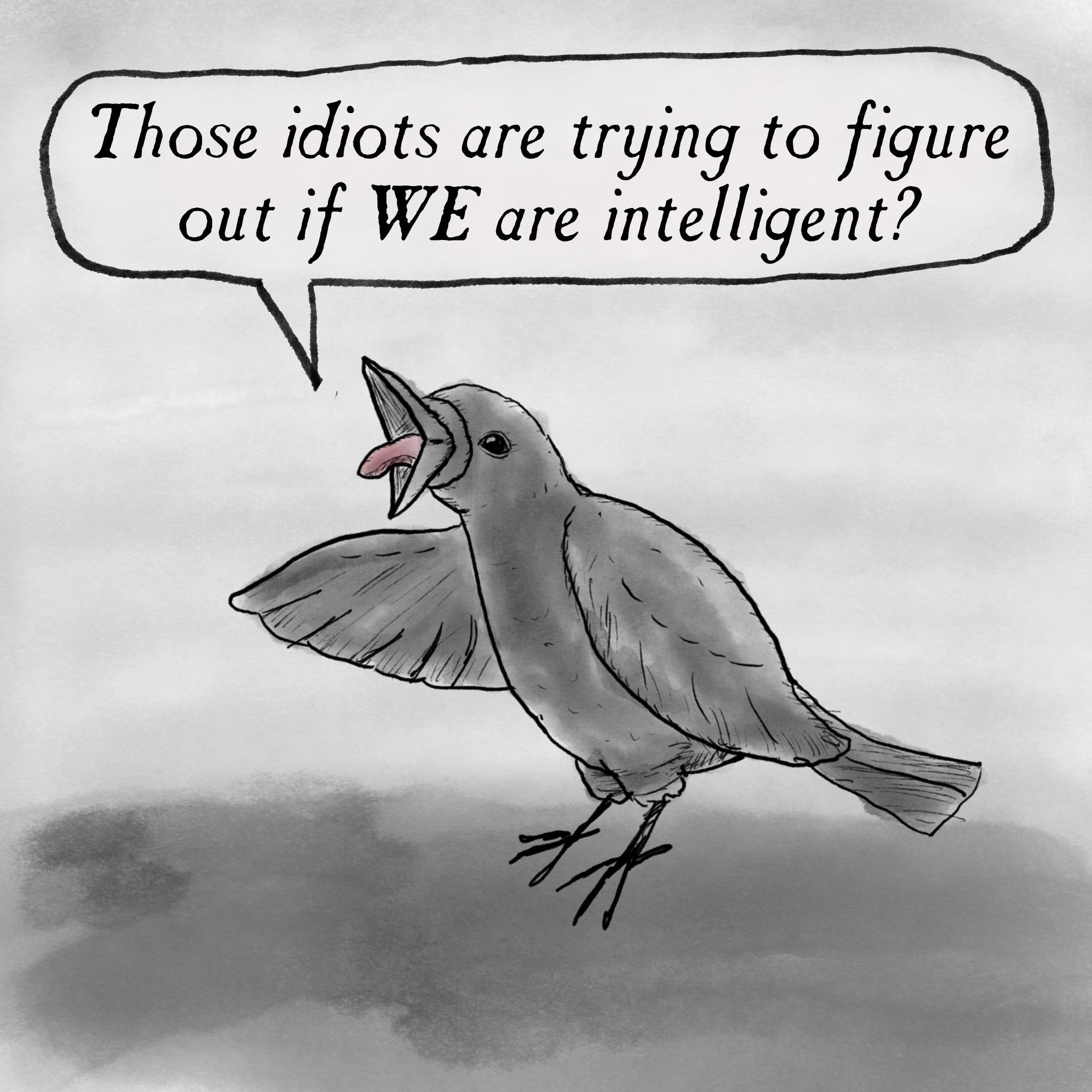 A cartoon crow says “Those idiots are trying to figure out if WE are intelligent?”