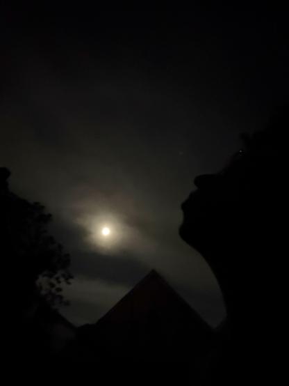 A dark photo of a silhouette of a man that appears to be howling into the air while full moon is in the background